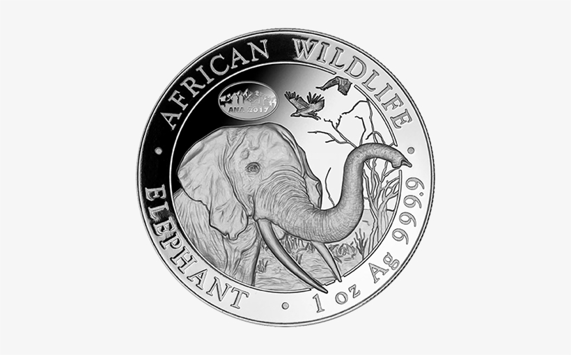 The 2018 Reverse Depicts The Head And Shoulders Of - Somalia Elephant Coin 2018, transparent png #4275224