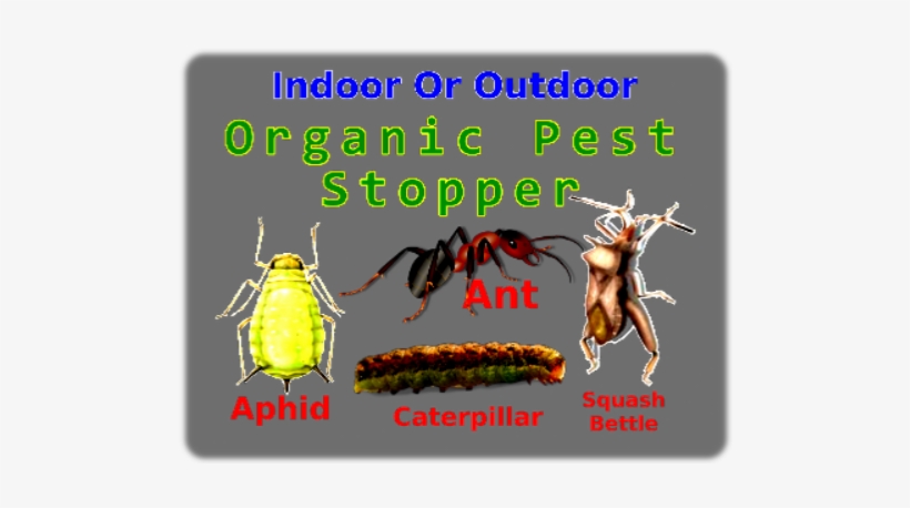 Liqui Dirt Complete Nutrition A Full Vitamin And Mineral, - Pest, transparent png #4275378