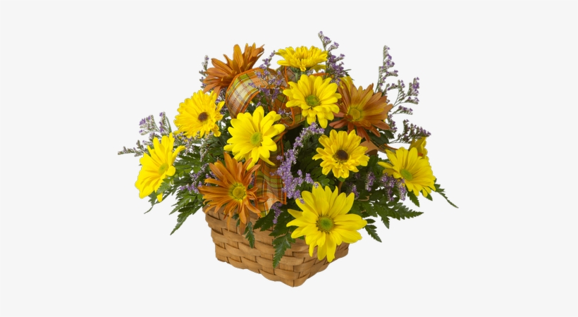 Autumn Daisies - Royer's Flowers & Gifts, transparent png #4276133