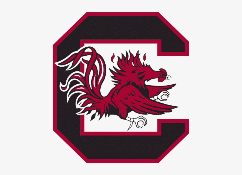 South Carolina Baseball Scores, Results, Schedule, - South Carolina Gamecocks Logo, transparent png #4276134