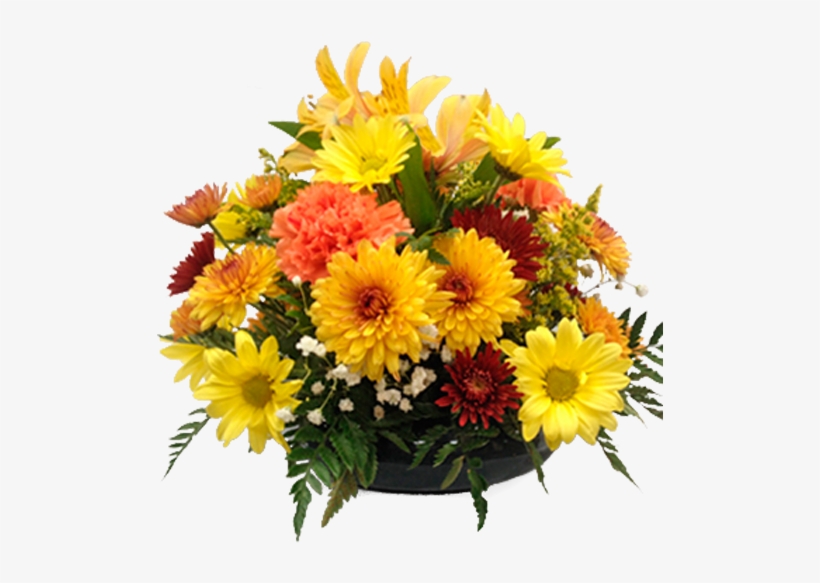 All Around Autumn - Flower, transparent png #4276221