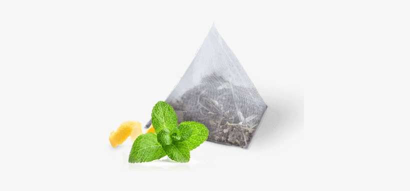 A Smooth-tasting Green Tea Infused With Ginger Root - Ginger And Mint Png Transparent, transparent png #4276370