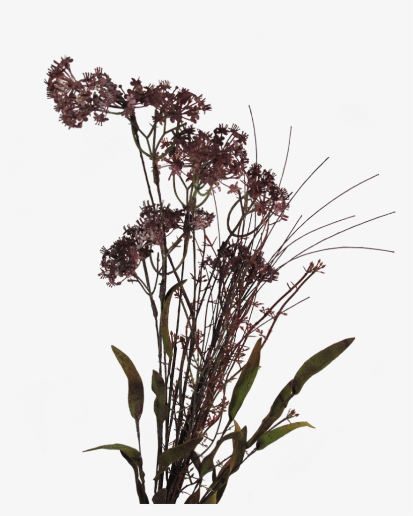 Meadow Flowers Png, transparent png #4276576