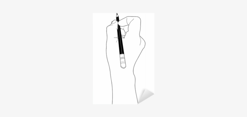 Sketch, transparent png #4276725