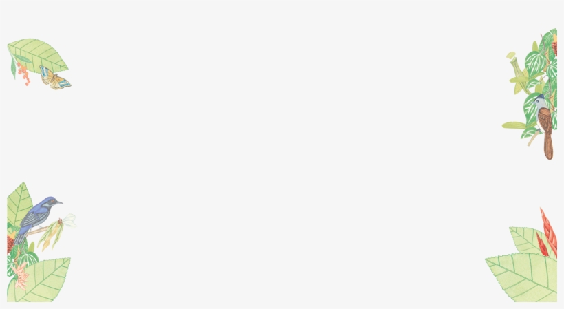 Boh Tea Plantation In Cameron Highlands - Skateboard Deck, transparent png #4276971