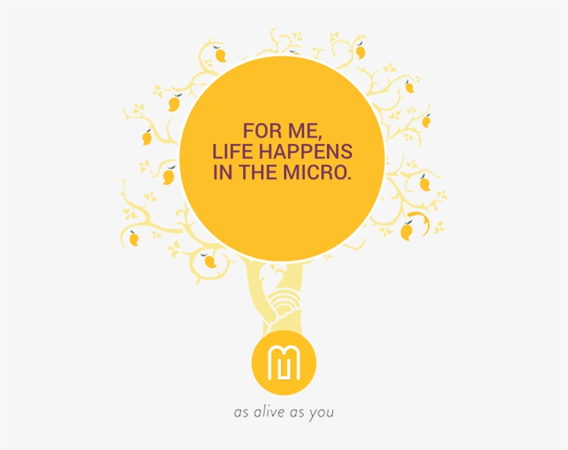 About Us - Mango Hotels, transparent png #4277561