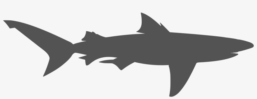 Travis Peters Companies - Jaws, transparent png #4278011