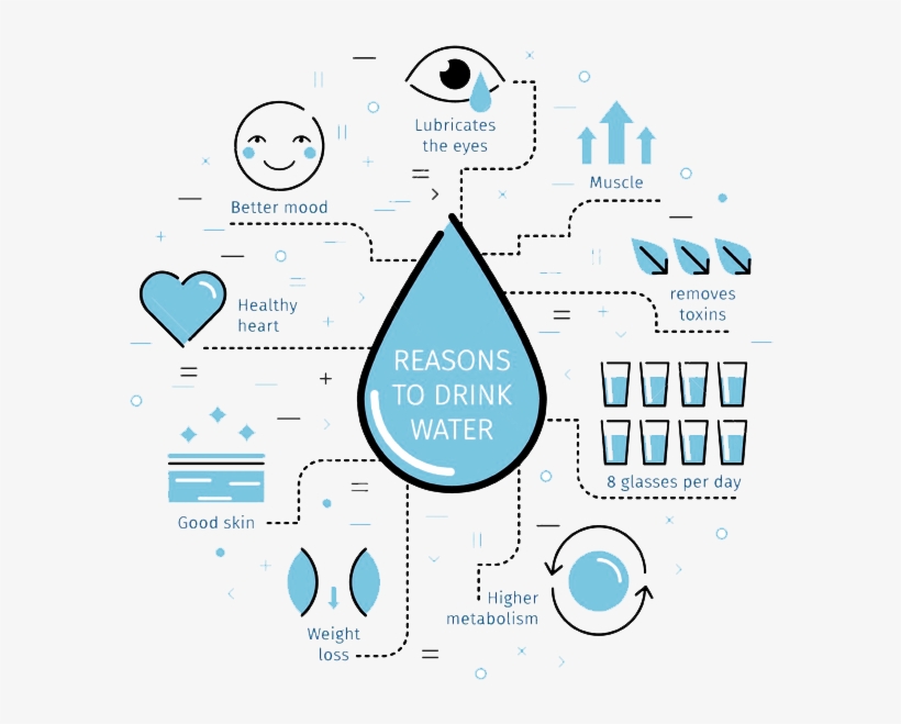 4) Water Helps To Purge Toxins From The Blood Which - Reason For Drink Water, transparent png #4278064