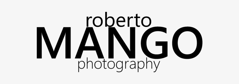 Logo - Tree Graphics, transparent png #4278179