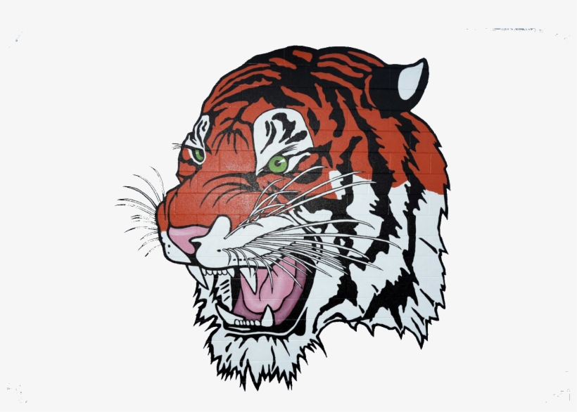 Transparent Background Tiger Clipart, transparent png #4278225