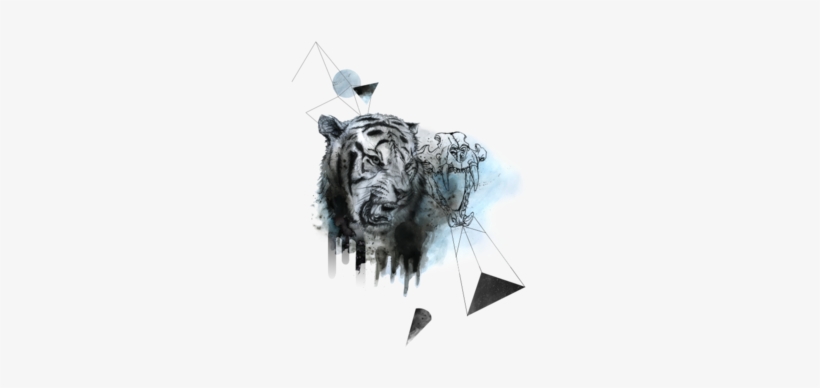 Tiger Roar - Illustration, transparent png #4278259