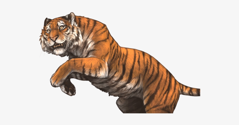 You Let Out An Annoyed Roar As A Giant Cat-like Creature - Tiger Encounter Lioden, transparent png #4278364