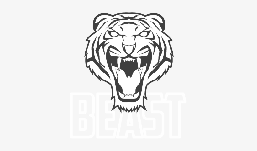 Tiger Face Drawing Easy, transparent png #4278398