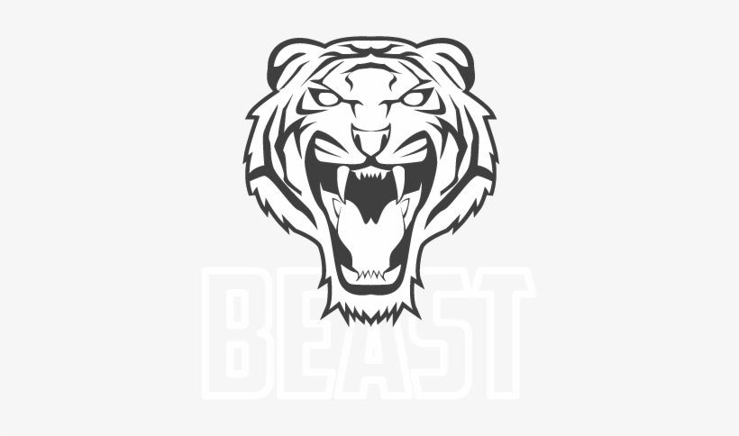 Tiger Face Drawing Easy - Free Transparent PNG Download - PNGkey