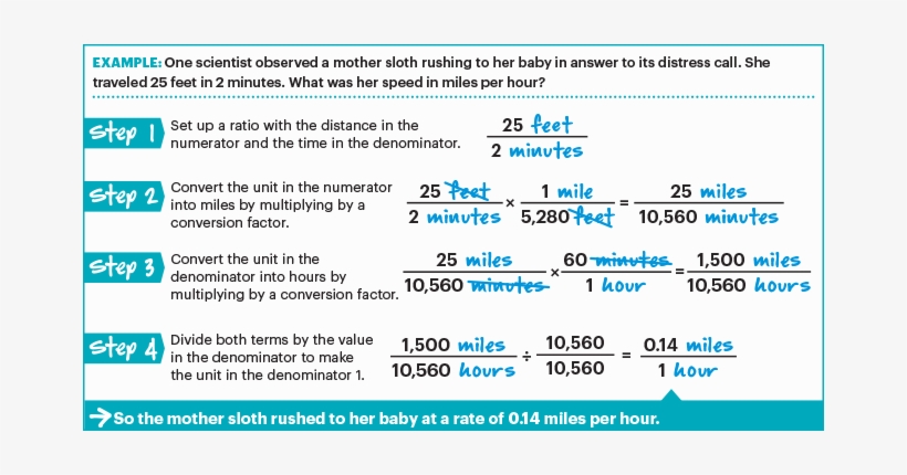 Article Section Image - Would Take A Sloth 130 Minutes S Per Hour, transparent png #4278721