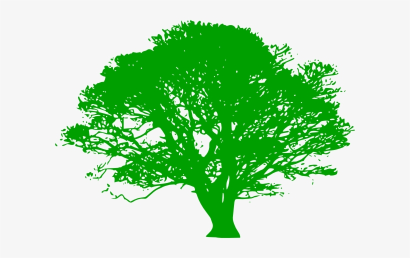 Tree Silhouette Green, transparent png #4279115