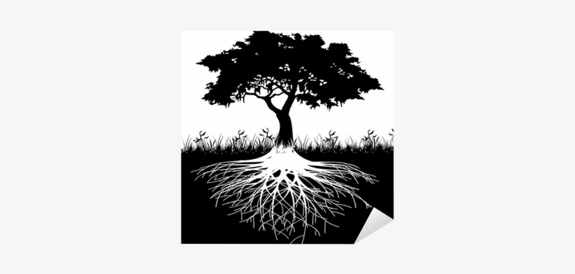Thick Tree Roots Silhouette, transparent png #4279164