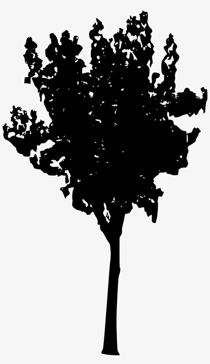 45 Tree Silhouettes Png Transparent Background - Portable Network Graphics, transparent png #4279319