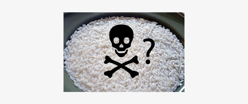 Addressing Concerns About Arsenic In Rice - Black Skull Ornament (oval), transparent png #4281715