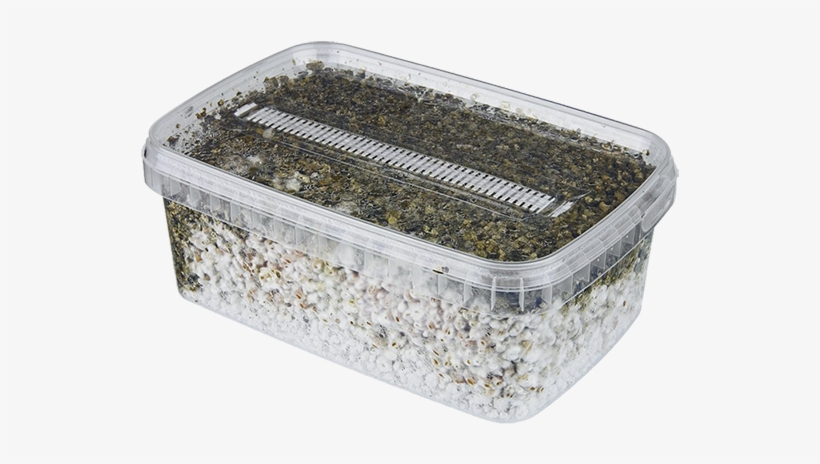 Grow Kits - Mushroom Filter Box, transparent png #4282128