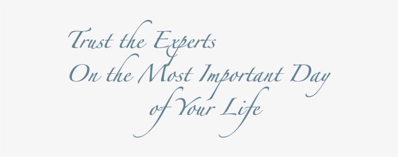 Request An Appointment - Png Text For Wedding, transparent png #4282172