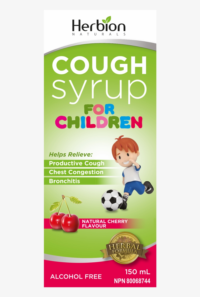 You May Also Like - Herbion Naturals Throat Syrup, Sugar Free, Herbal Formula, transparent png #4282998