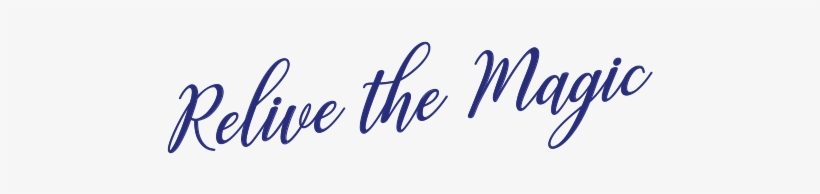 In Case You Missed Our Wedding Event That Happened - House, transparent png #4283072