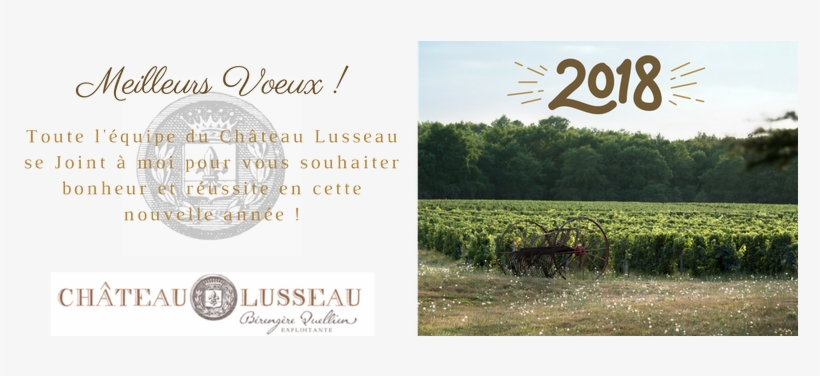 We Would Like To Express Our Sincerest Gratitude For - Field, transparent png #4283103