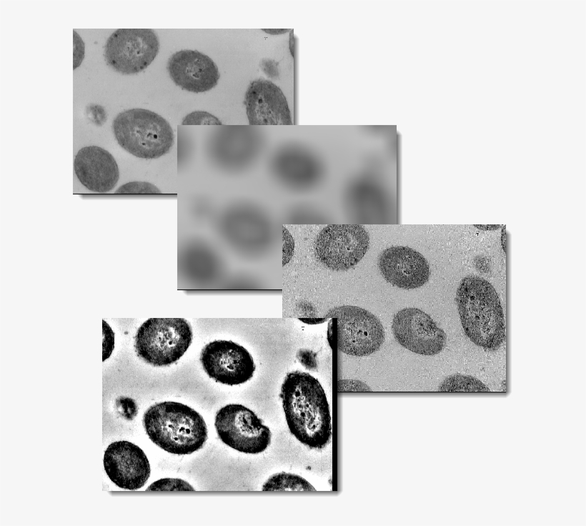 Four Images From Top To Bottom Showing The Original - Monochrome, transparent png #4283386