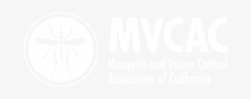 Login To This Mvcac Website - E-book - Transcultural Health And Social Care: Development, transparent png #4283583