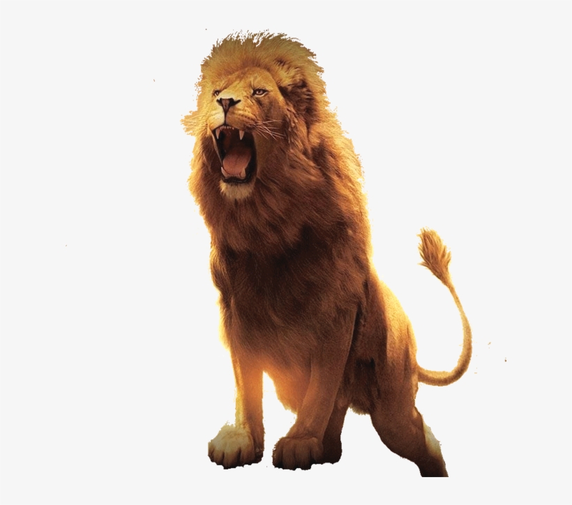 Modern Day “lion Of The Tribe Of Judah” - There Will Always Be People In Your Life Who Treat, transparent png #4283726