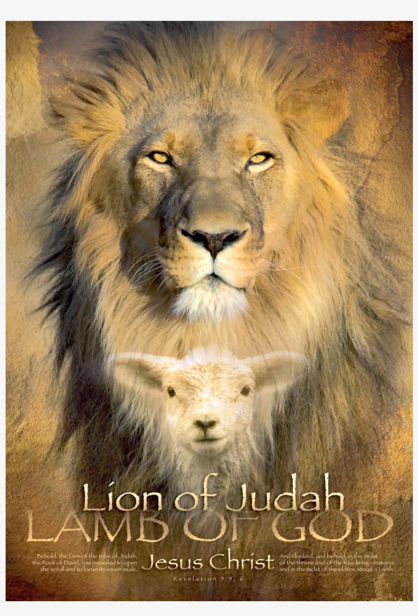 Lion Of Judah Wall Art - Lion Of Judah Lamb Of God, transparent png #4283784