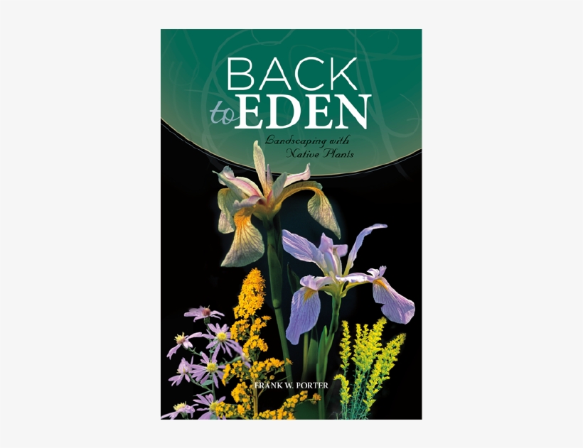 Back To Eden, transparent png #4284299
