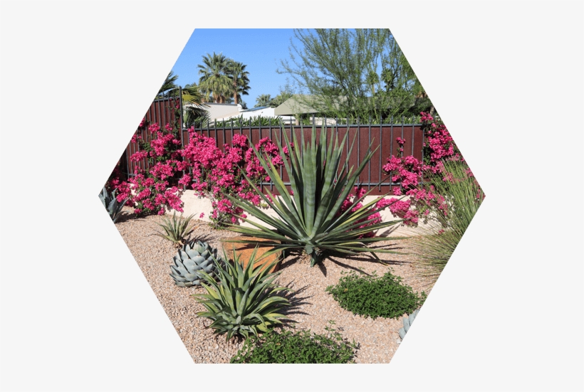 Landscaping - Rock Landscaping In Phoenix, transparent png #4284427