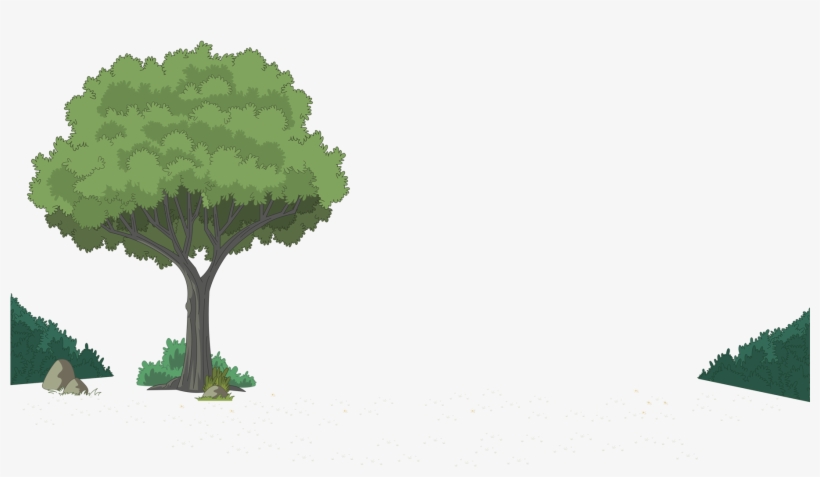 Plymouth Ma Tree, Plant, Pest Control & Landscape Services - Cartoon Backyard Background, transparent png #4284592