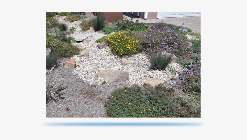 Sustainable Gardening Tips - La Dwp Garden, transparent png #4284610