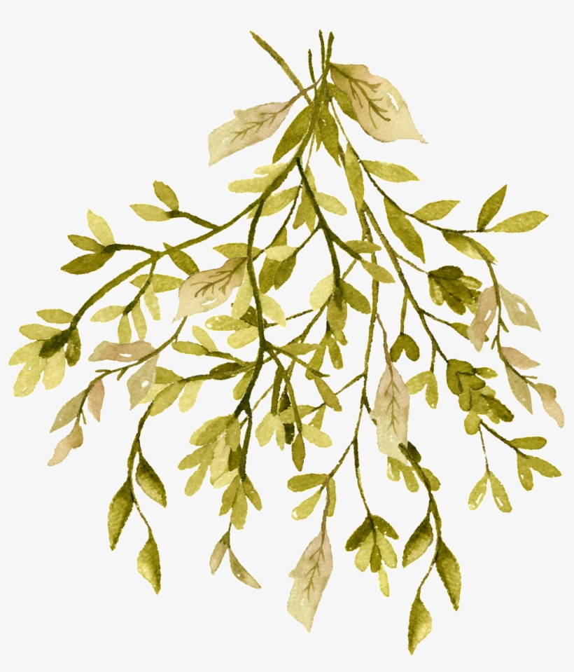 Autumn Dense Branches Cartoon Transparent - Plants Trivia, transparent png #4285096