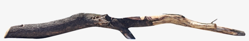 Transparent For Dry Branches - Portable Network Graphics, transparent png #4285307