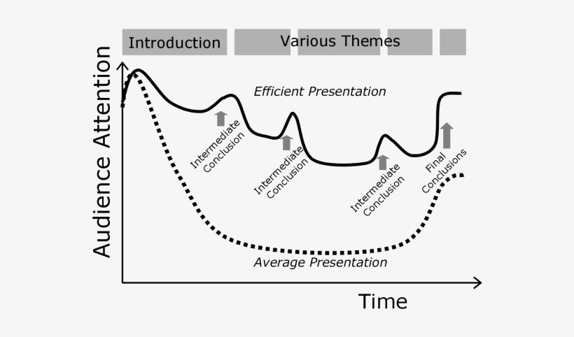 Curvas De Atención Promedio Y Presuntamente Optimizada - Attention Curve Presentation, transparent png #4285419