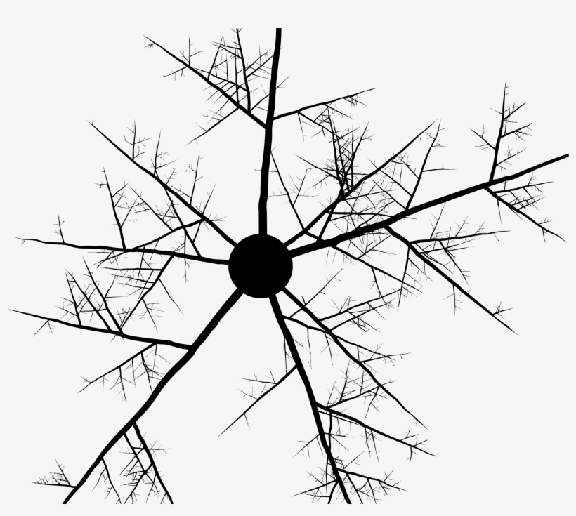 This Free Icons Png Design Of Abstract Branches, transparent png #4285422