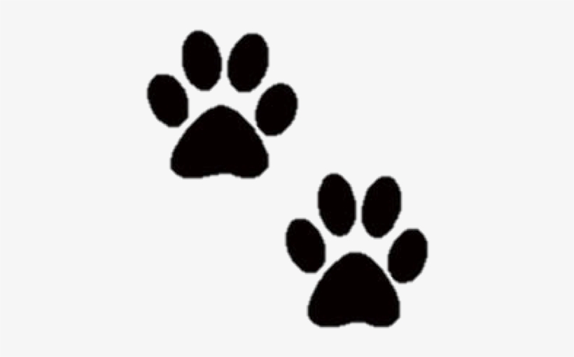 Check Ou - Handmade Pet Sympathy Cards, transparent png #4286101