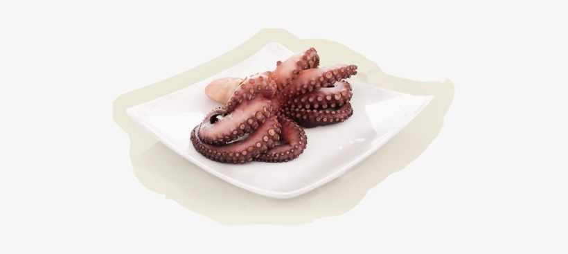 Polvo A Grécia É Reconhecida Por Ter O Melhor Polvo - Octopus, transparent png #4286212