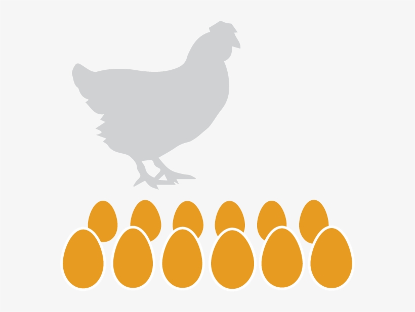 Eggs Dozen - Hen Silhouette, transparent png #4286798
