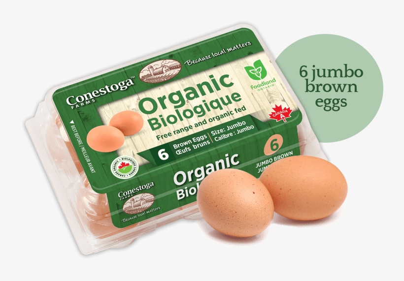 Organic Eggs - Toronto Organic Eggs, transparent png #4286847