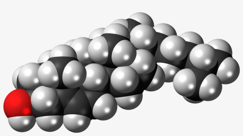 Cholesterol Not The Enemy - Cholesterol, transparent png #4287625