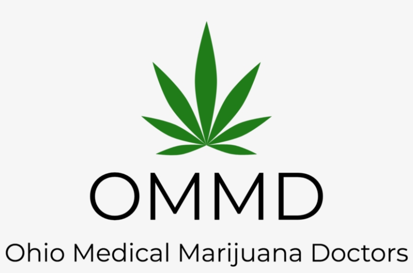 Ommd-logo - Logo, transparent png #4287843