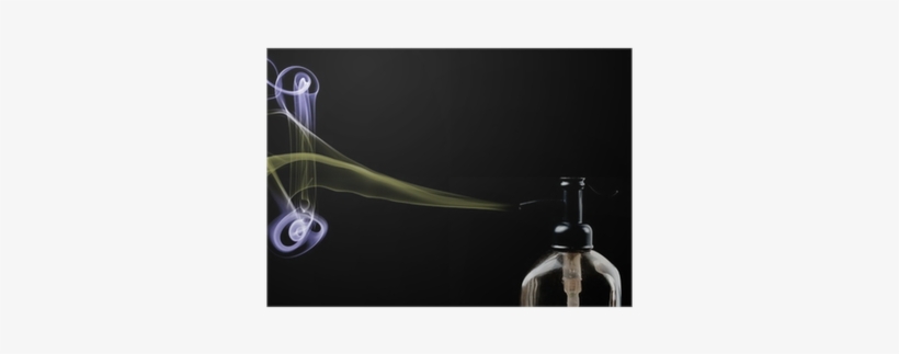 Photograph, transparent png #4288472