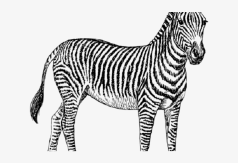 Weird Harry Potter Sunglasses, transparent png #4288582