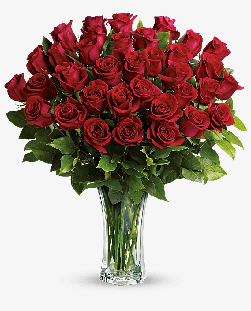 36 Long Stemmed Red Roses - Flowers - Love And Devotion, transparent png #4288773