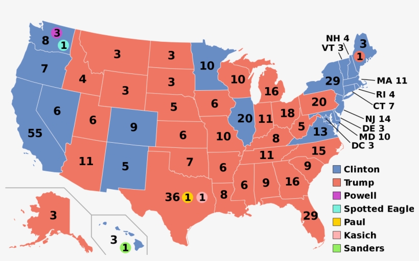 Electoral College, transparent png #4288832